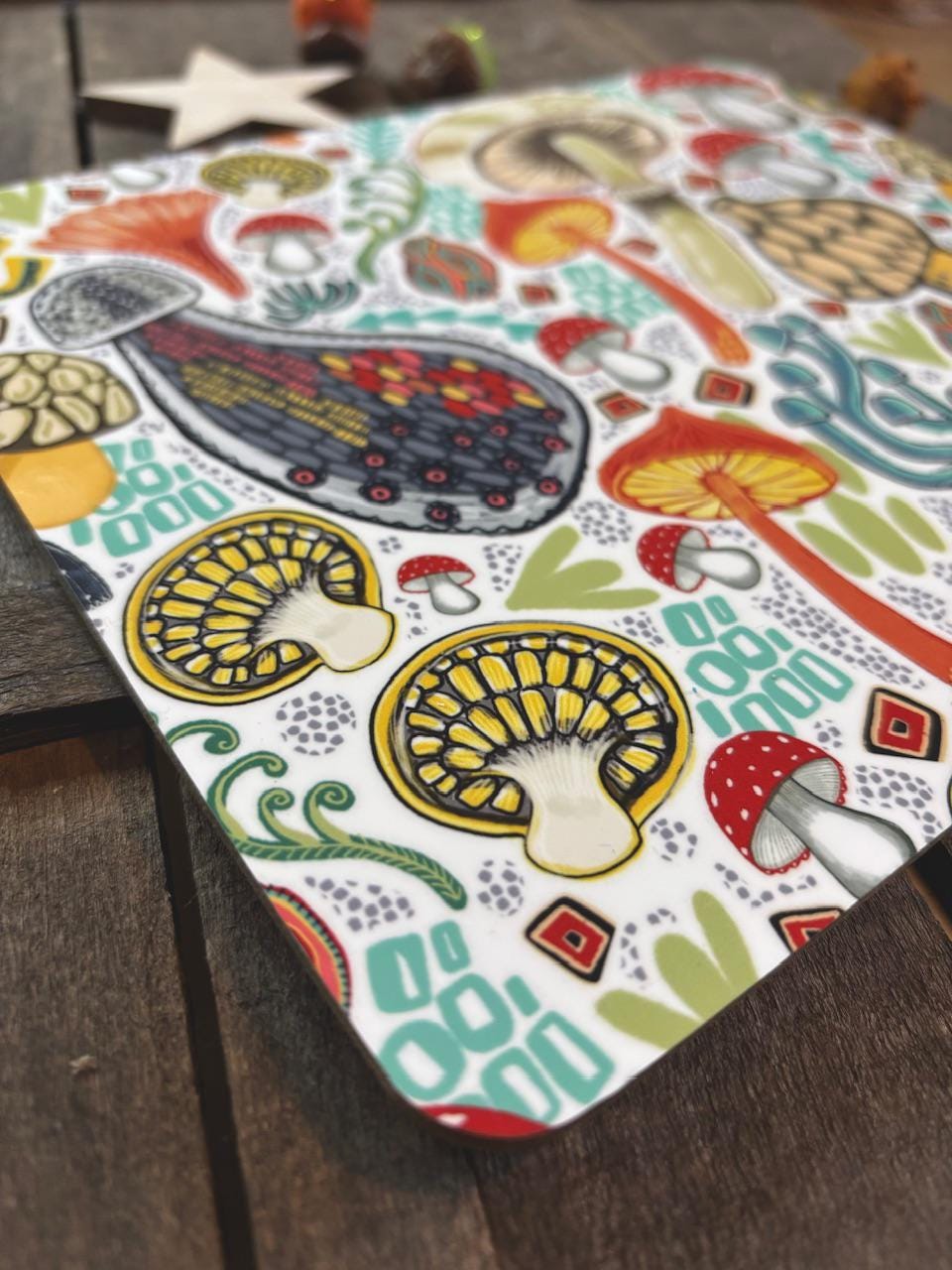 Fungi Pattern Placemats, Toadstools, Set of Two, Fungi Placemat, Toadstool Lover Gift, Mushroom Lover, Birthday Gift Ideas, New Home Gifts.