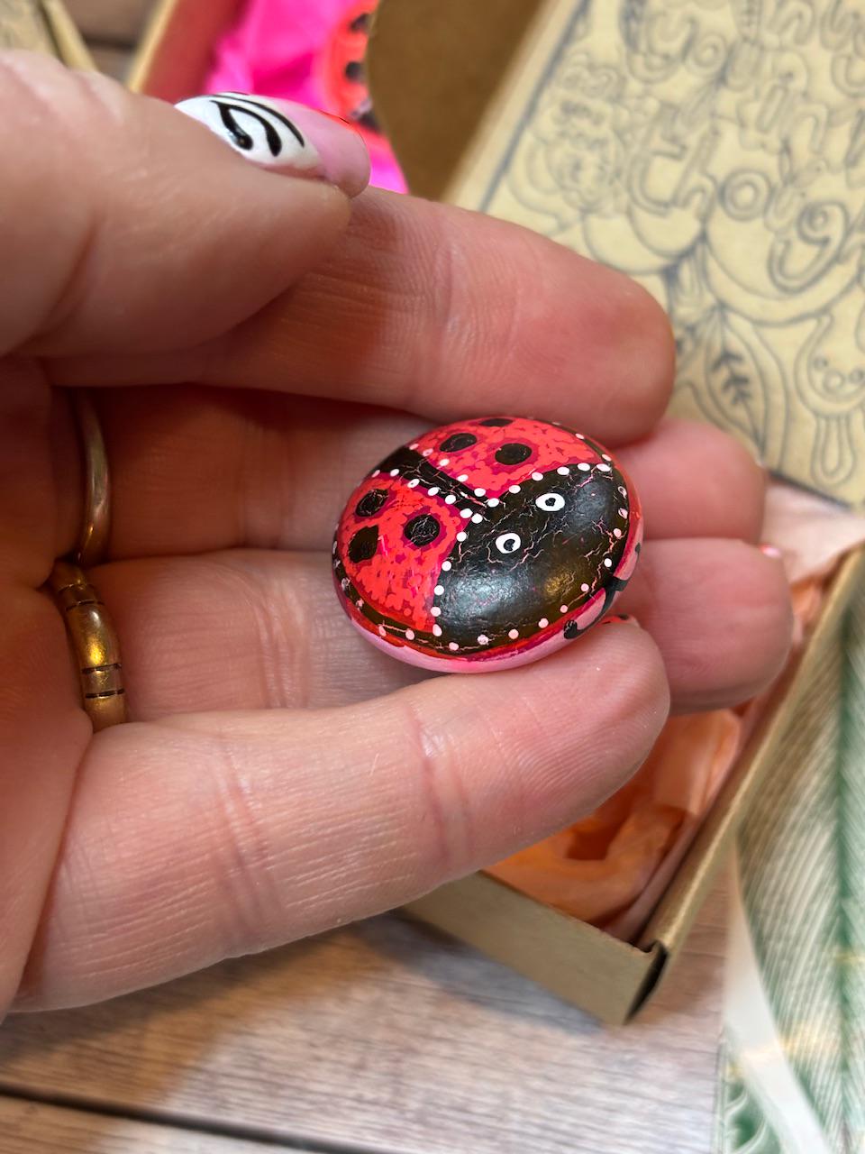 Sending a Hug Gift, Mini Happy Ladybird Bug, Thinking of You, Friendship, Get Well Soon, Mother's Day Gift, Letterbox Gifts.